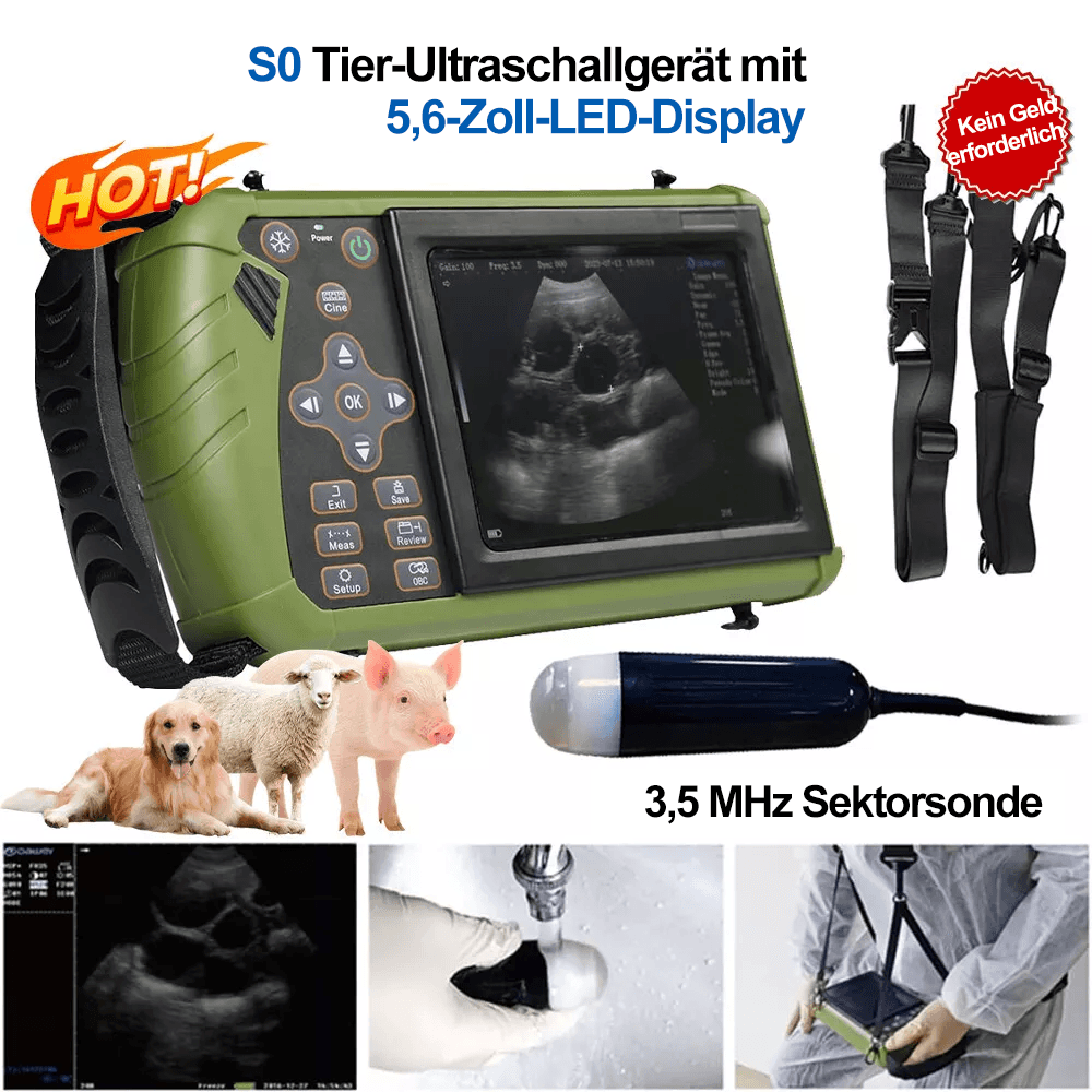 Tragbarer Ultraschall-Schwangerschaftstester Panasonic B erkennt den Zustand und die Gesundheit des Fötus.